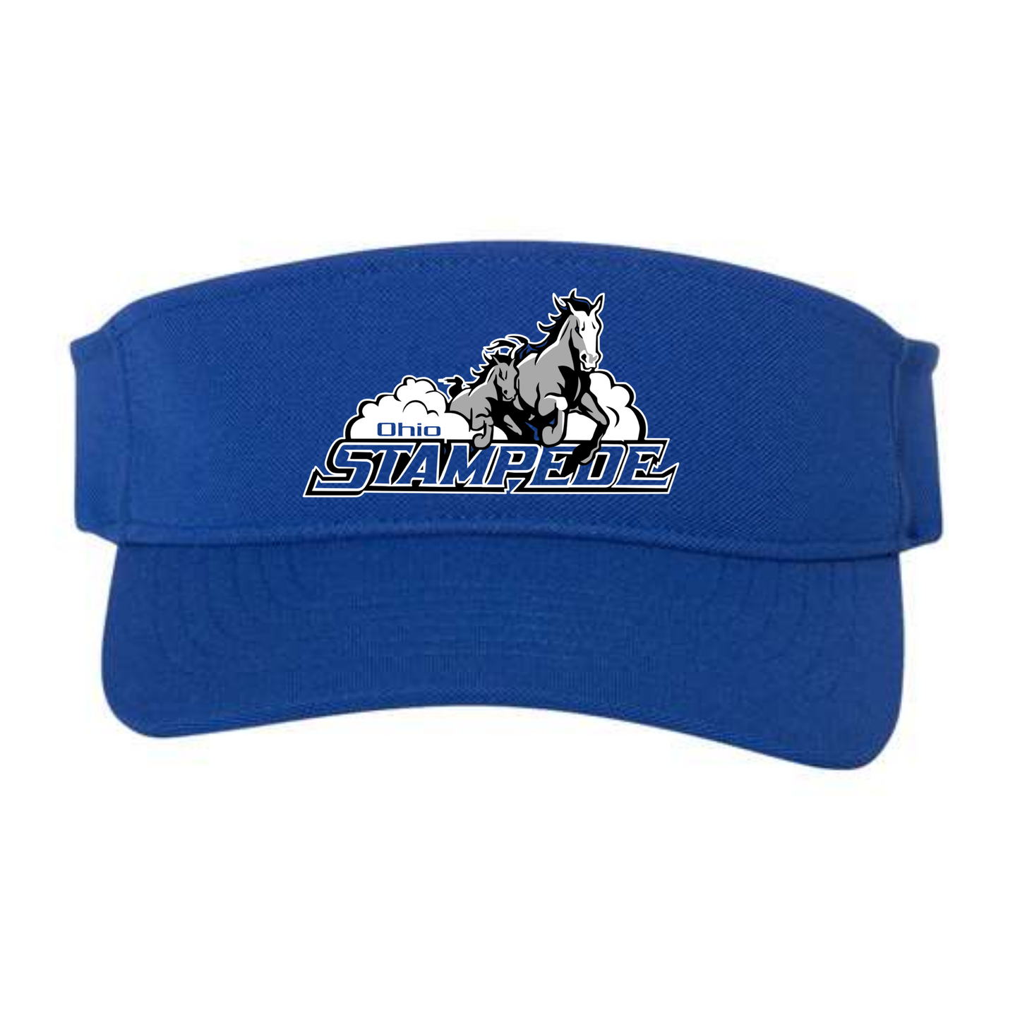 Stampede Visor