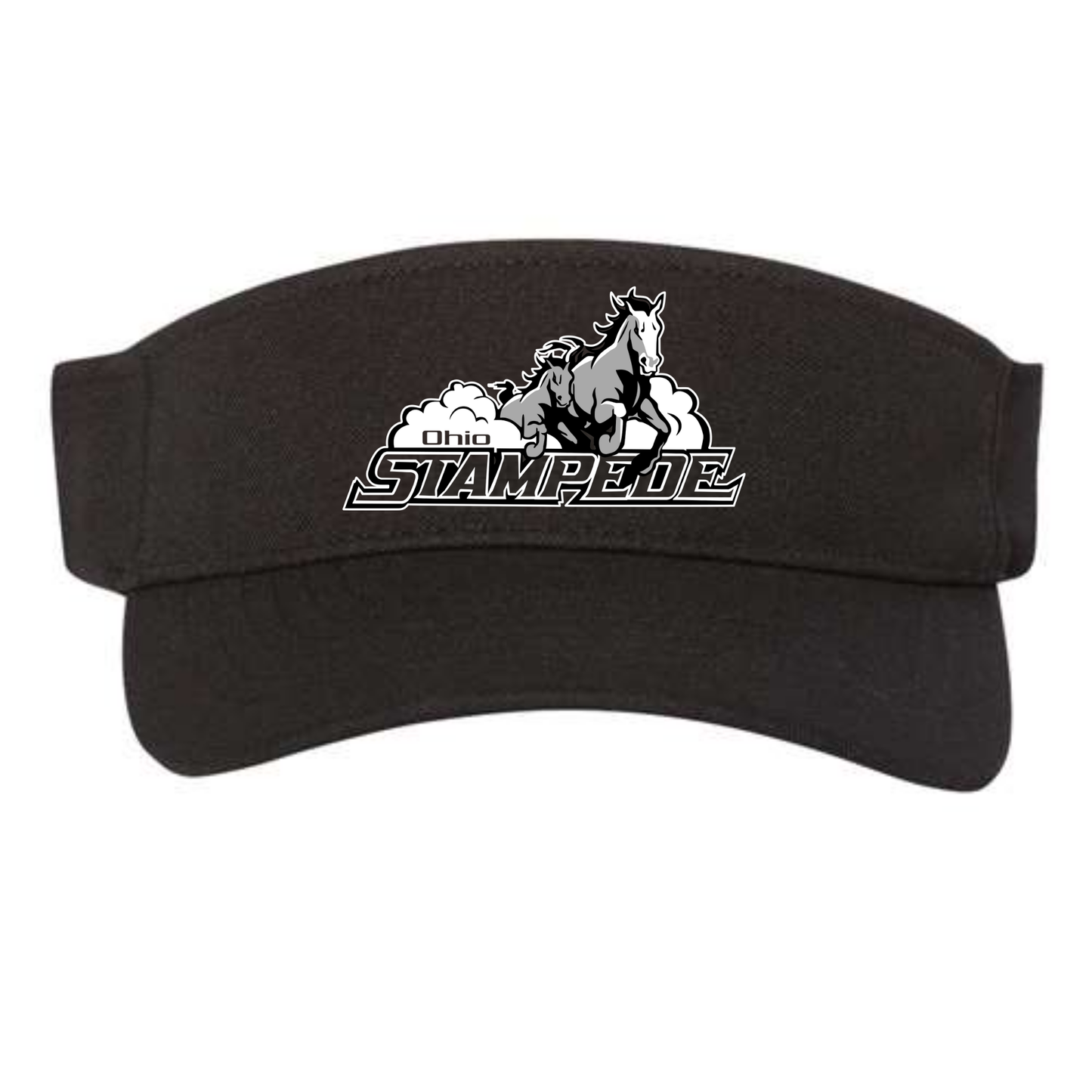 Stampede Visor