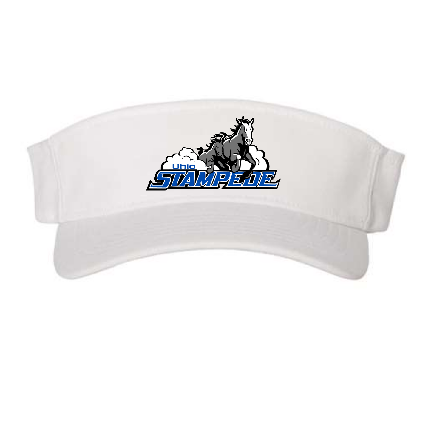 Stampede Visor