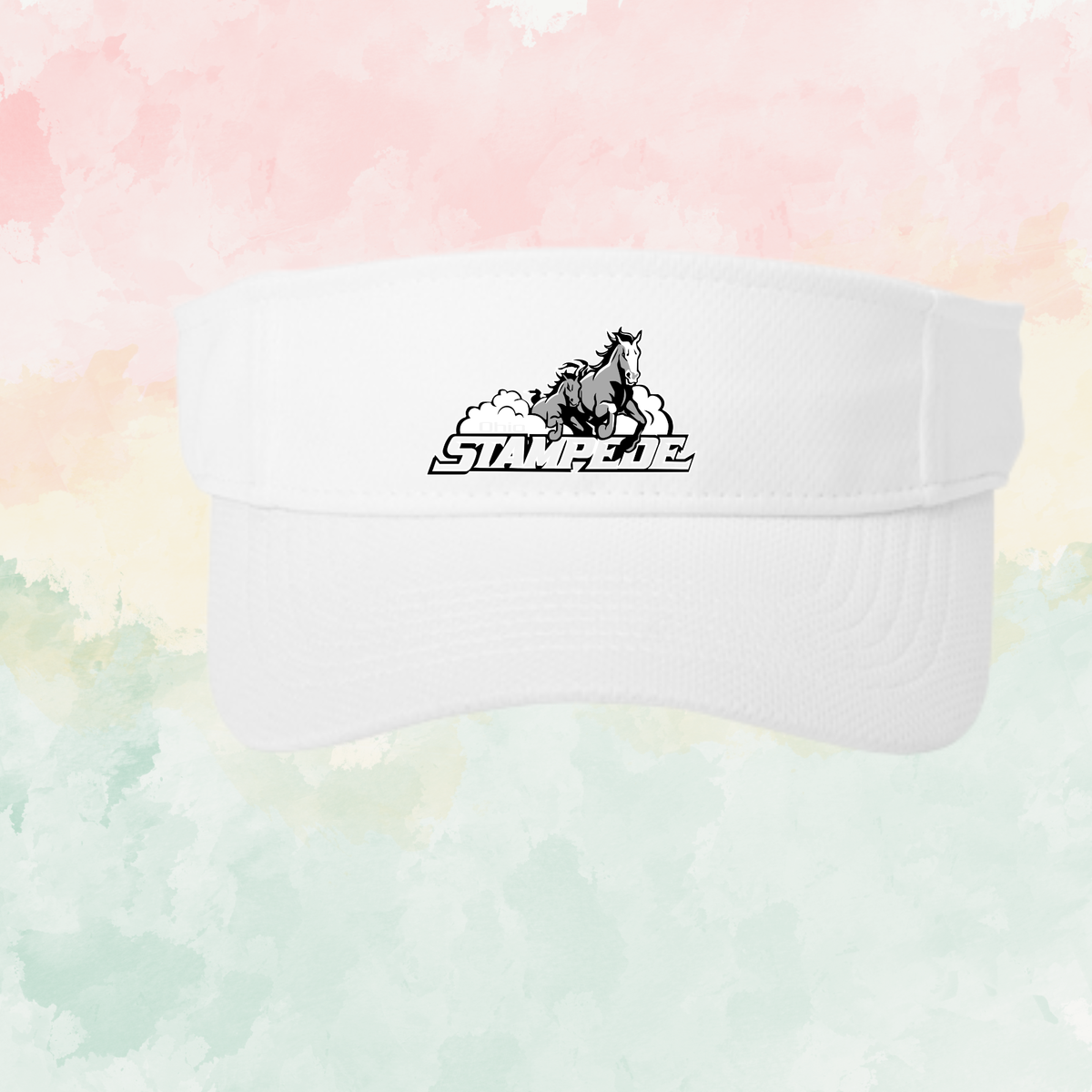 Stampede Visor
