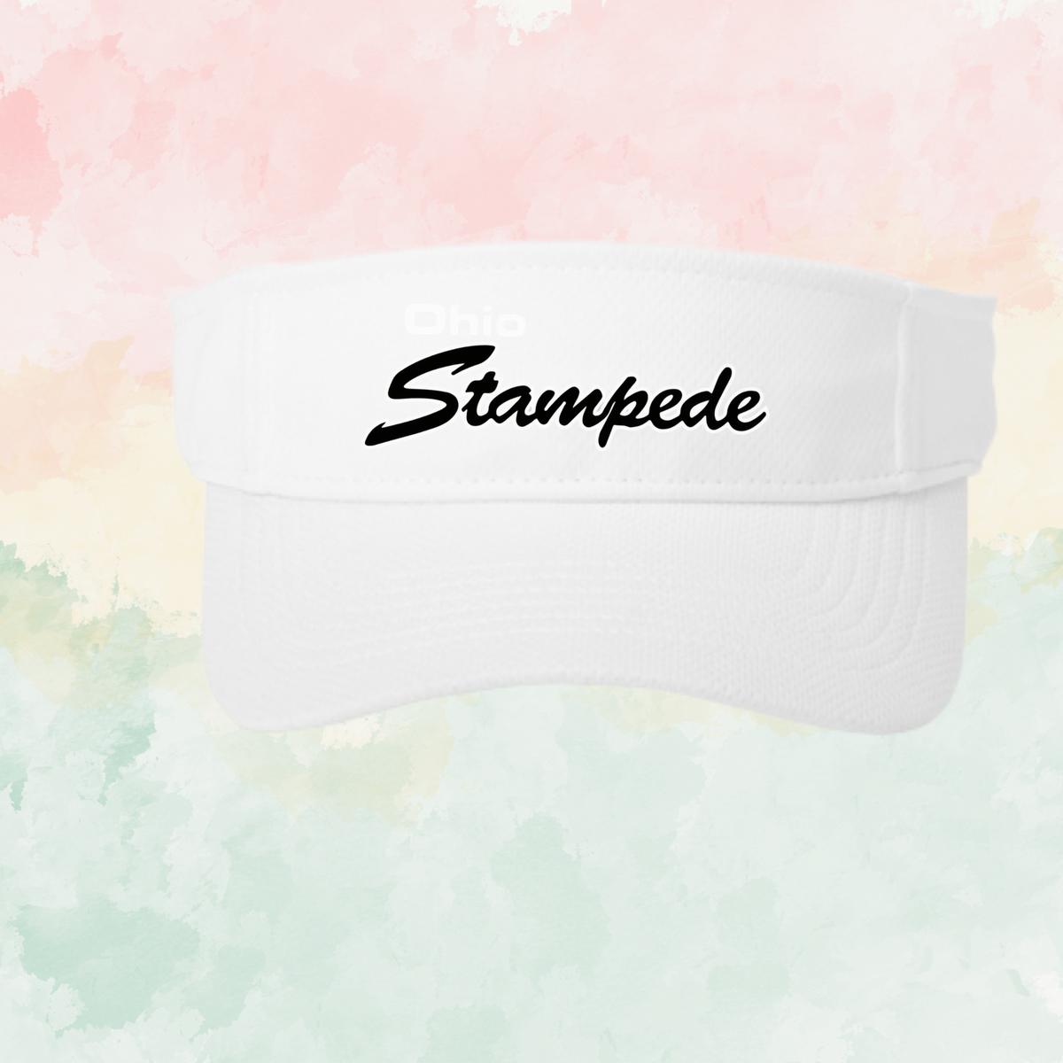 Stampede Visor