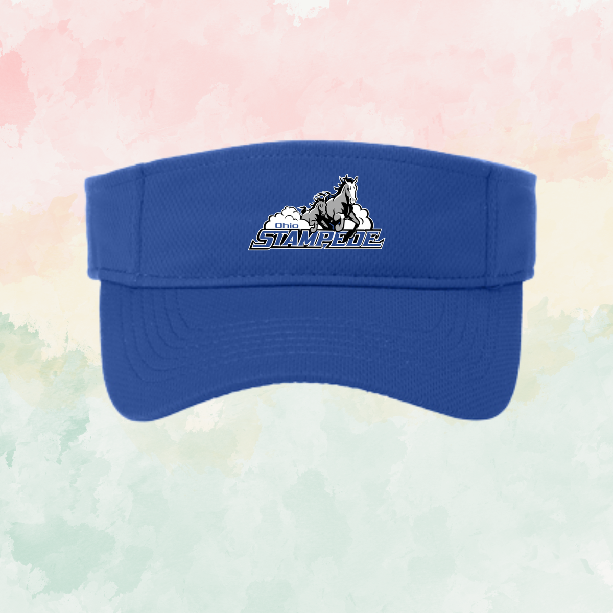 Stampede Visor