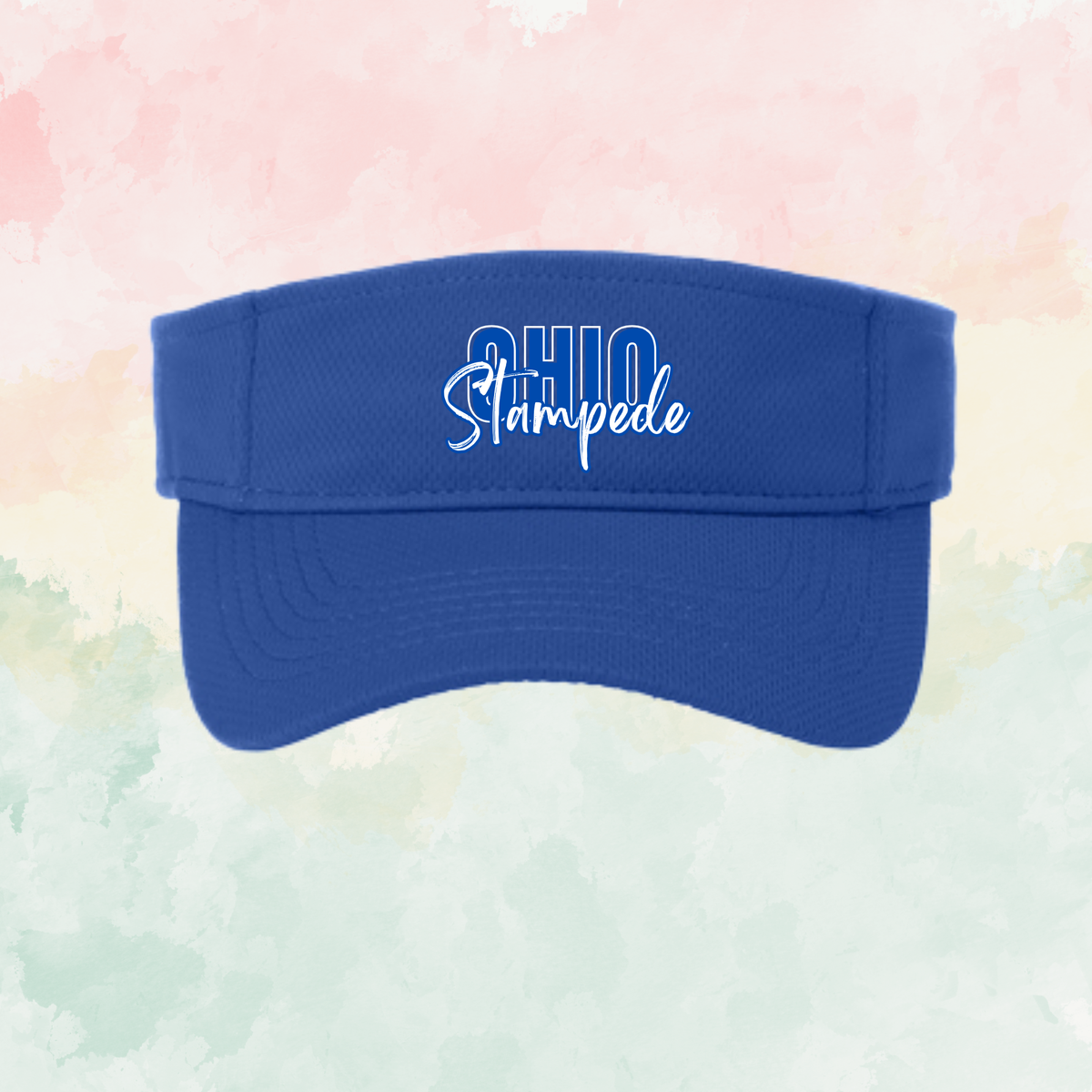 Stampede Visor