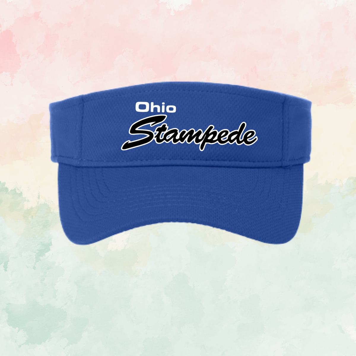 Stampede Visor
