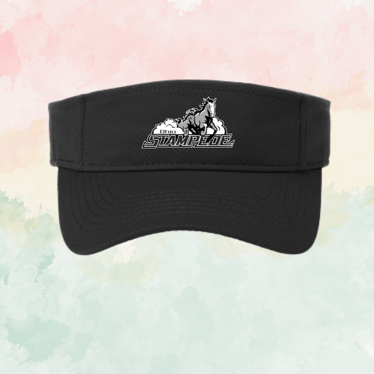 Stampede Visor