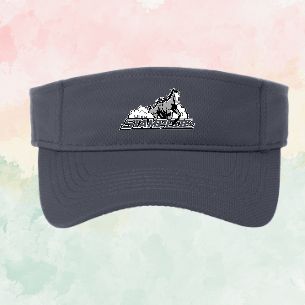Stampede Visor