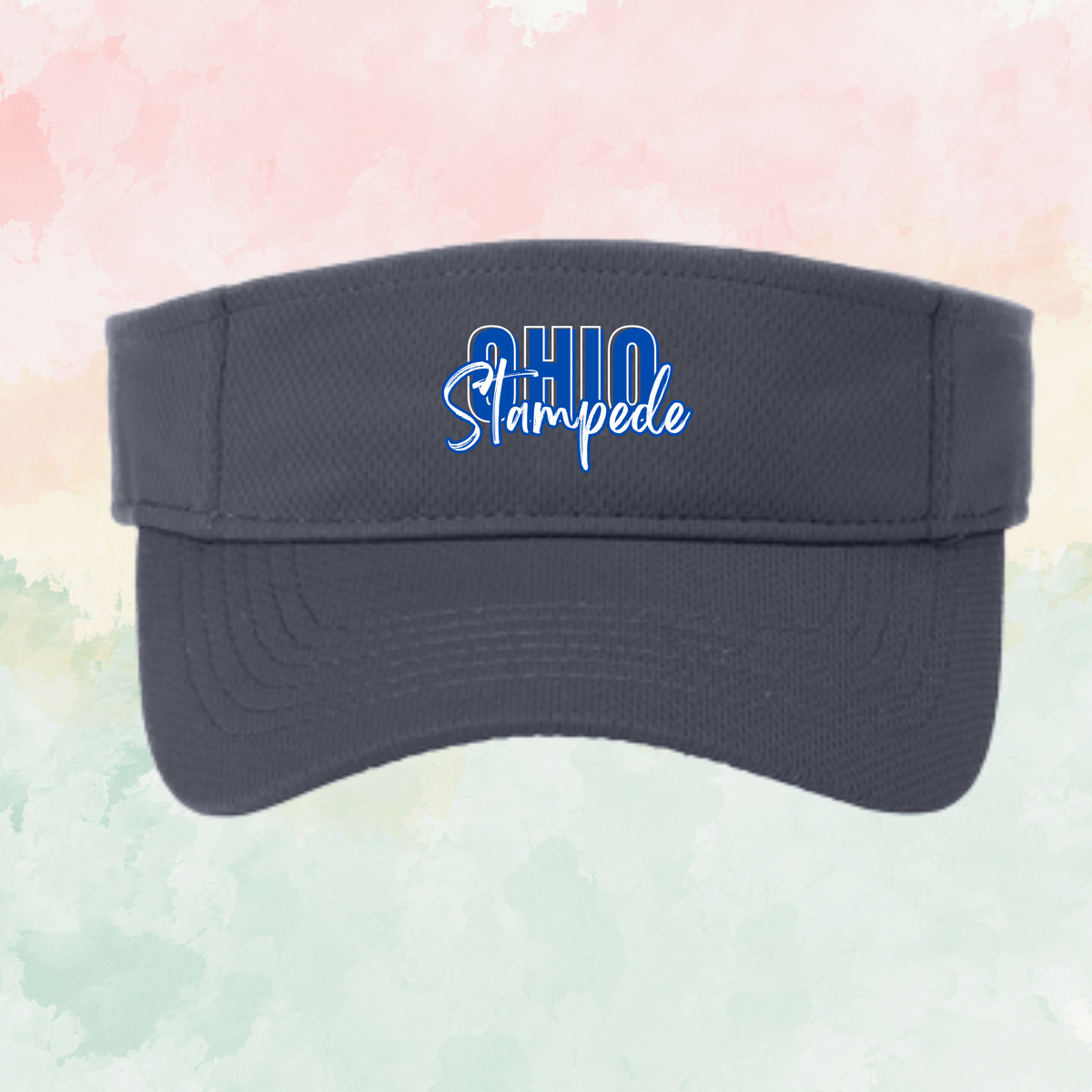 Stampede Visor