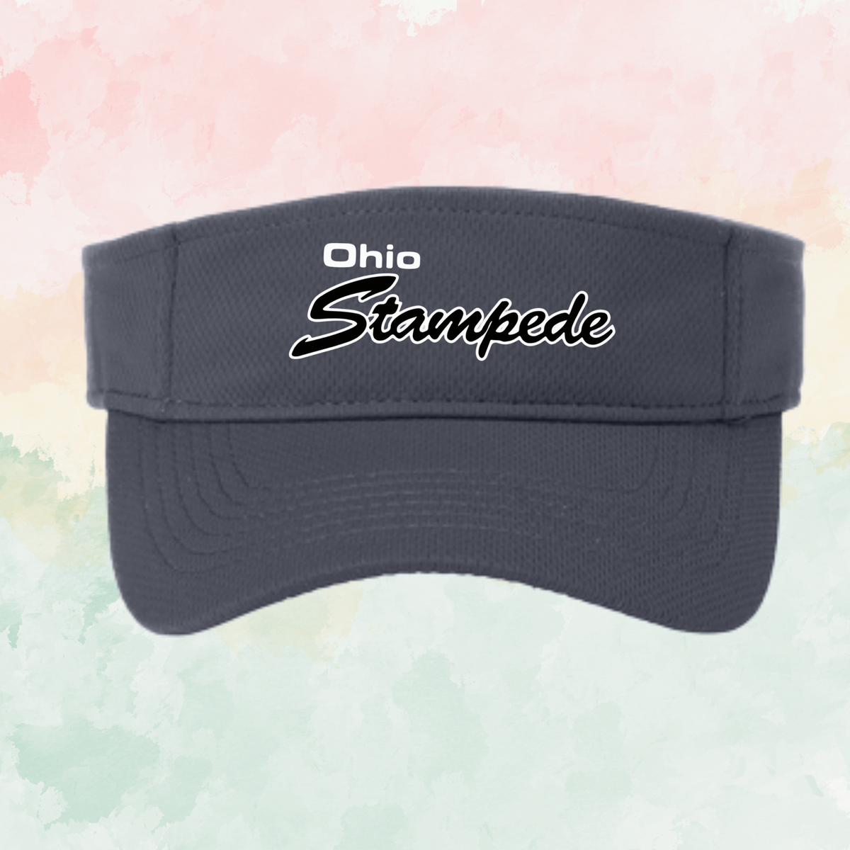 Stampede Visor